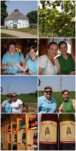 Winery Fun!