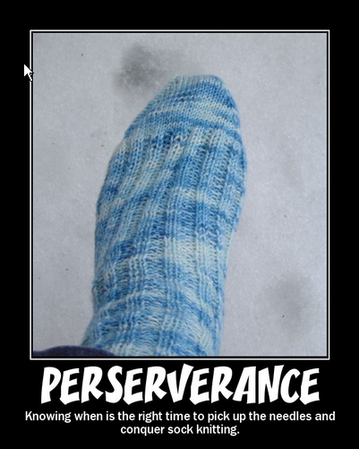 Knit Wit!
