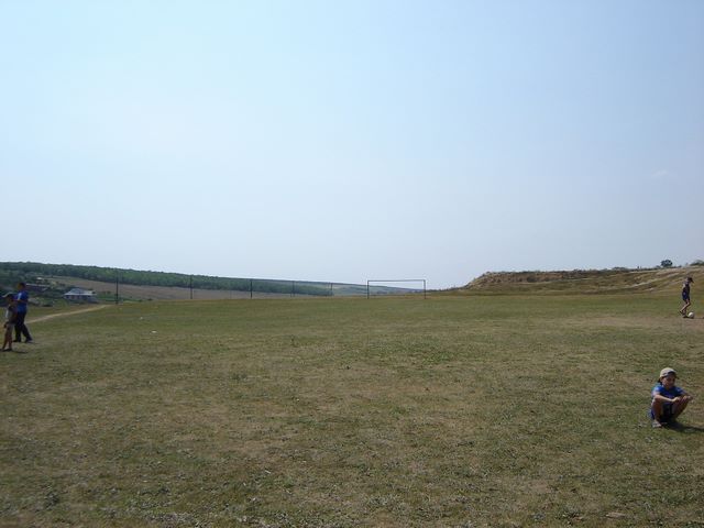 dsc06611.jpg (large)